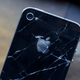 Image for article titled There's No Such Thing As an "Apple Trap"